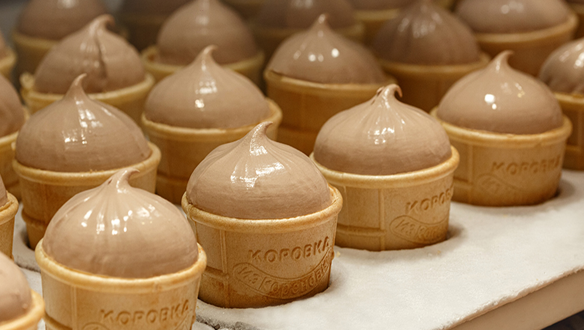 «Коровка из Кореновки» – на первых местах! «Коровка из Кореновки» – на первых местах!